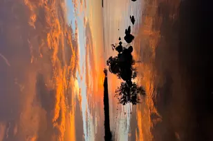 410 Mahogany Ave, Key Largo, FL 33037 - Photo 22