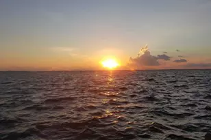 325 Calusa St, Key Largo, FL 33037 - Photo 50