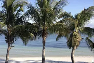 511 4th St, Key Colony, FL 33051 - Photo 52