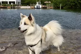 500 Burton Dr, Tavernier, FL 33070 - Photo 34