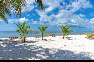 65821 Overseas Hwy, Layton, FL 33001 - Photo 4