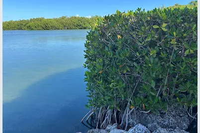 94220 Overseas Highway #6-D, Tavernier, FL 33070 - Photo 48