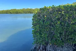 94220 Overseas Hwy, Tavernier, FL 33070 - Photo 48