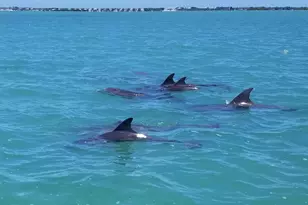 323 Bayview Ave, Key Largo, FL 33037 - Photo 1