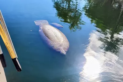 1112 Grand Street #And Half Lot, Key Largo, FL 33037 - Photo 46