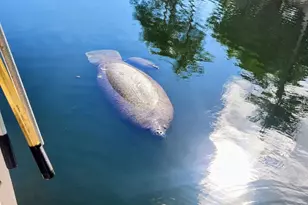 1112 Grand Street #And Half Lot, Key Largo, FL 33037 - Photo 46