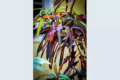 95480 & 90 Overseas Highway, Key Largo, FL 33037 - Photo 72