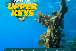 140 Gumbo Limbo Dr, Key Largo, FL 33037 - Photo 18