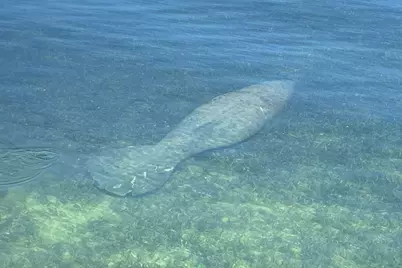 100 List Street, Islamorada, FL 33036 - Photo 10