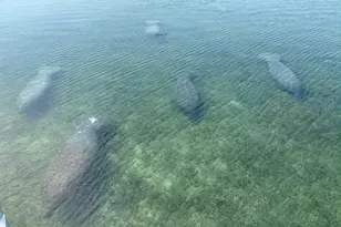 100 List St, Islamorada, FL 33036 - Photo 44