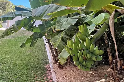 100 List Street, Islamorada, FL 33036 - Photo 54