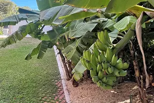 100 List St, Islamorada, FL 33036 - Photo 54