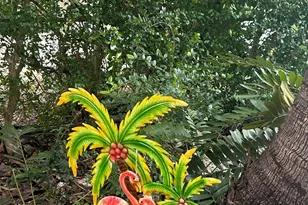 134 Rushtown Ln, Key Largo, FL 33070 - Photo 38