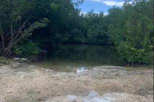 24840 Park Dr, Summerland, FL 33042 - Photo 16