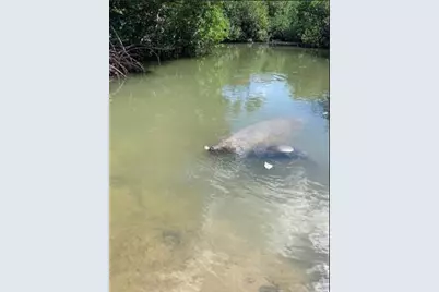 24840 Park Drive, Summerland, FL 33042 - Photo 18