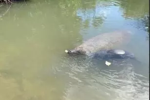 24840 Park Dr, Summerland, FL 33042 - Photo 18