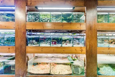 100636 Overseas Highway, Key Largo, FL 33037 - Photo 48