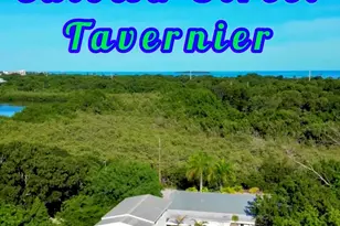 157 Caloosa St, Islamorada, FL 33070 - Photo 50