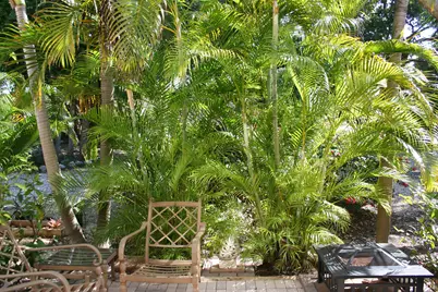 87200 N Overseas Highway #N2, Islamorada, FL 33036 - Photo 38