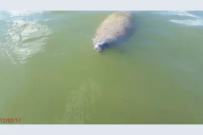 1530 Ocean Bay Drive #411, Key Largo, FL 33037 - Photo 28