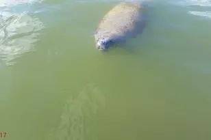 1530 Ocean Bay Dr, Key Largo, FL 33037 - Photo 28