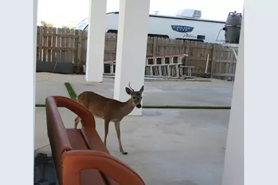 1553 Sunrise Drive, Big Pine, FL 33043 - Photo 102