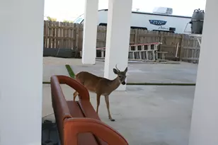 1553 Sunrise Dr, Big Pine, FL 33043 - Photo 102