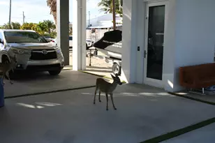 1553 Sunrise Dr, Big Pine, FL 33043 - Photo 104