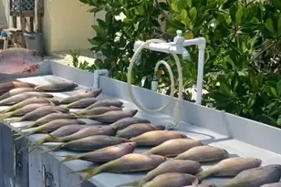 133 Zane Gray Creek Dr, Long Key, FL 33001 - Photo 44