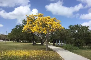 500 Burton Dr, Tavernier, FL 33070 - Photo 40