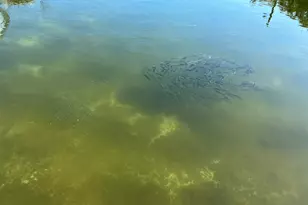 500 Burton Dr, Tavernier, FL 33070 - Photo 42