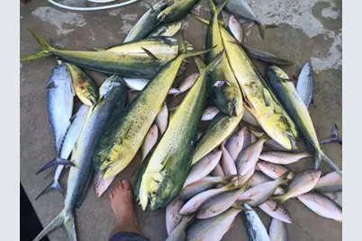 500 Burton Drive #5212, Tavernier, FL 33070 - Photo 30