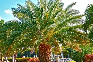 500 Burton Dr, Tavernier, FL 33070 - Photo 22