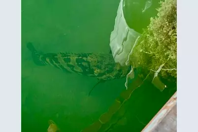 406 S Coconut Palm Boulevard, Tavernier, FL 33070 - Photo 98