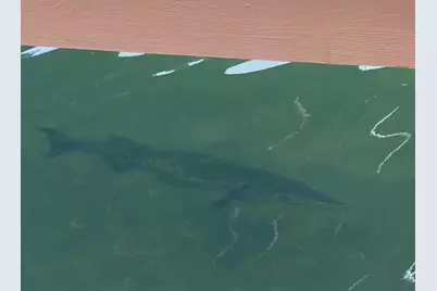 406 S Coconut Palm Boulevard, Tavernier, FL 33070 - Photo 96