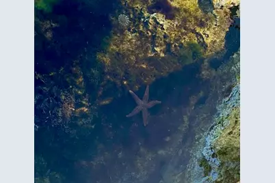 406 S Coconut Palm Boulevard, Tavernier, FL 33070 - Photo 98