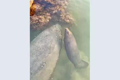 406 S Coconut Palm Boulevard, Tavernier, FL 33070 - Photo 94