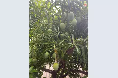 500 Burton Drive #1213, Tavernier, FL 33070 - Photo 18