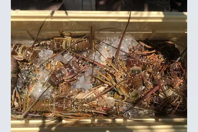 500 Burton Drive #1213, Tavernier, FL 33070 - Photo 22