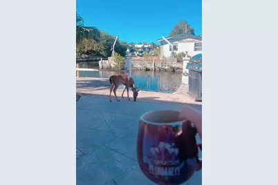 1540 Lantana Lane, Big Pine Key, FL 33043 - Photo 2