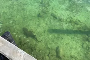 814 S Emerald Dr, Key Largo, FL 33037 - Photo 40