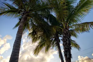 11295 6th Avenue Gulf, Marathon, FL 33050 - Photo 50