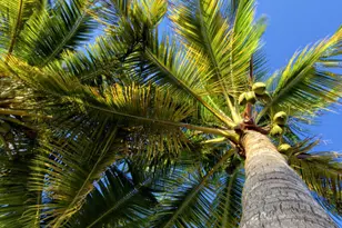 11295 6th Avenue Gulf, Marathon, FL 33050 - Photo 4