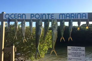 500 Burton Dr, Tavernier, FL 33070 - Photo 26