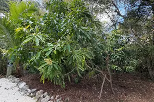 134 Artic Ave, Tavernier, FL 33037 - Photo 50