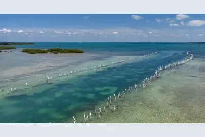 234 Mohawk Street, Tavernier, FL 33070 - Photo 64