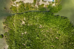 79 Jean La Fitte Dr, Key Largo, FL 33037 - Photo 60