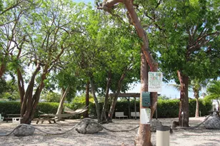 325 Calusa Street ## 15, Key Largo, FL 33037 - Photo 18