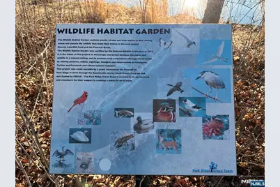 57 Mill Road, Park Ridge, NJ 07656 - Photo 50