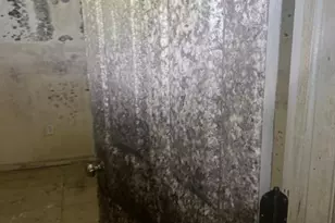 120 Larch Ave, Dumont, NJ 07628 - Photo 16